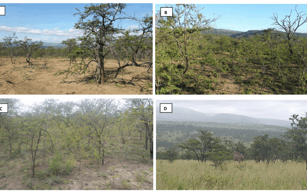 Habitat and Vegetation Survey for the Determination of Carrying Capacity and Stocking Rates