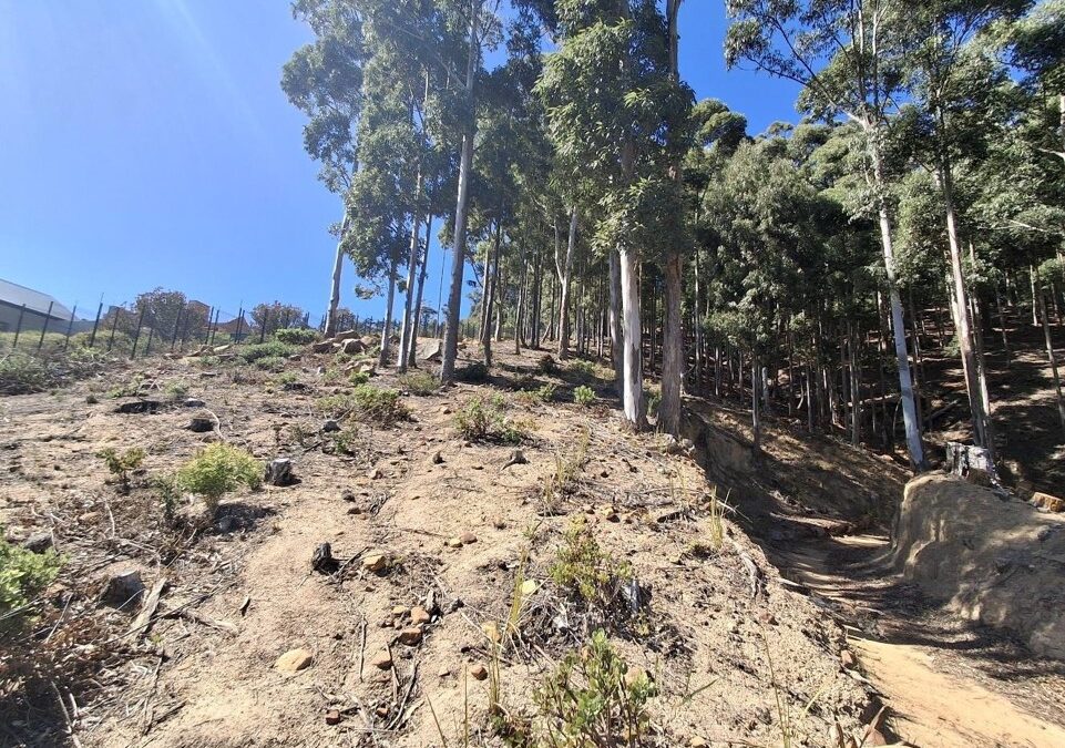 Environmental Rehabilitation and Risk Reduction Plan for Overkloof