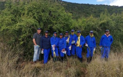 South Africa Thicket Restoration Changes Lives