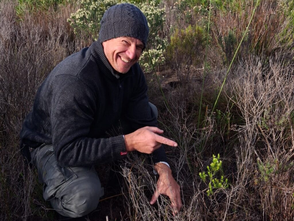 Bruce Taplin finding a Diosma aristata