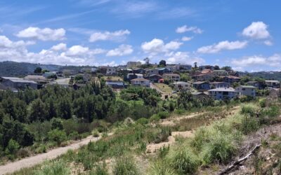 Taking Action: Managing Invasive Alien Species Within Our Local Municipalities